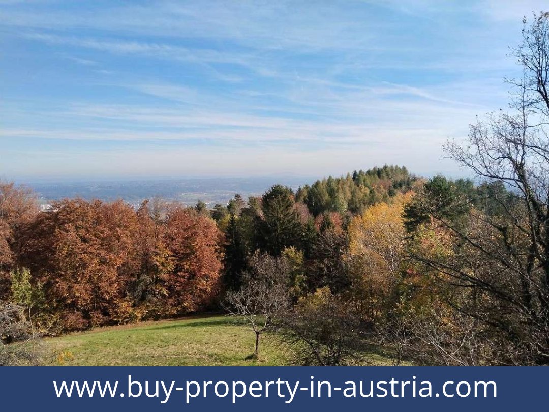 buy-property-in-austria-bad gams-8524-20251010221816-0032401025.jpg